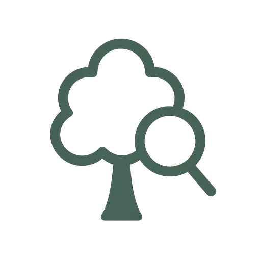 Tree risk assessment service icon